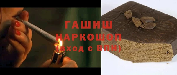 индика Гусиноозёрск